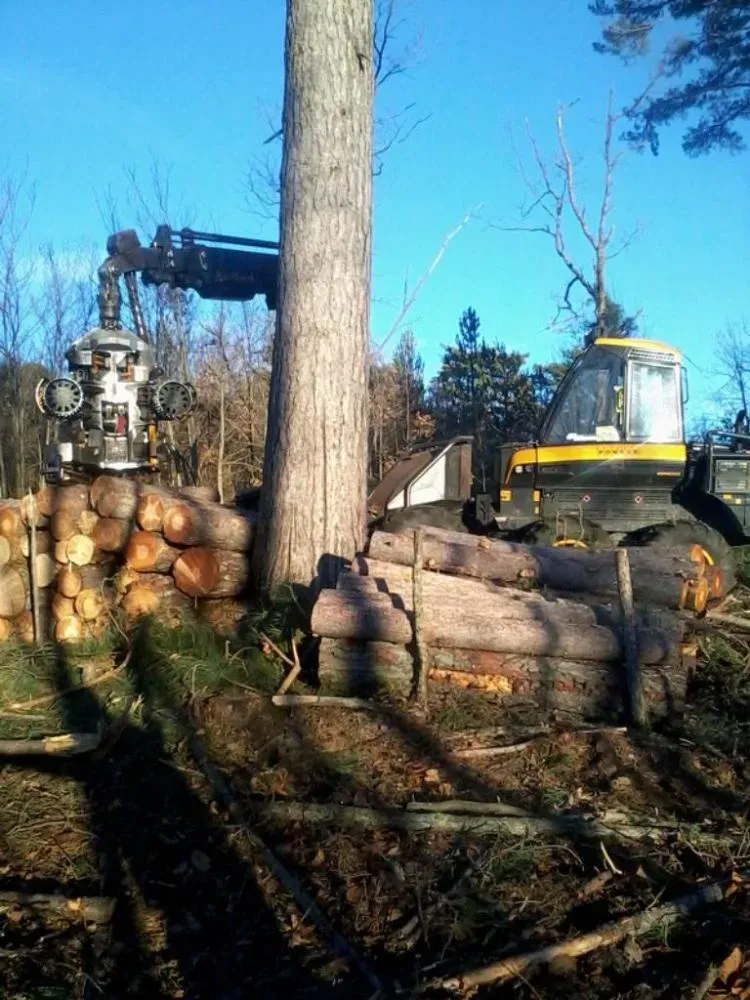 vente pour trituration